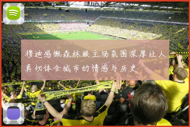 穆迪感慨森林狼主场氛围深厚让人真切体会城市的情感与历史