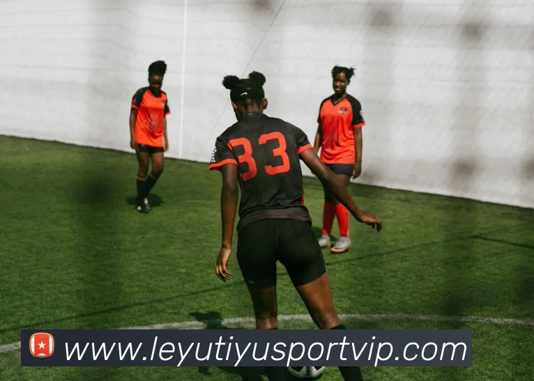 乐鱼体育APP 封面图