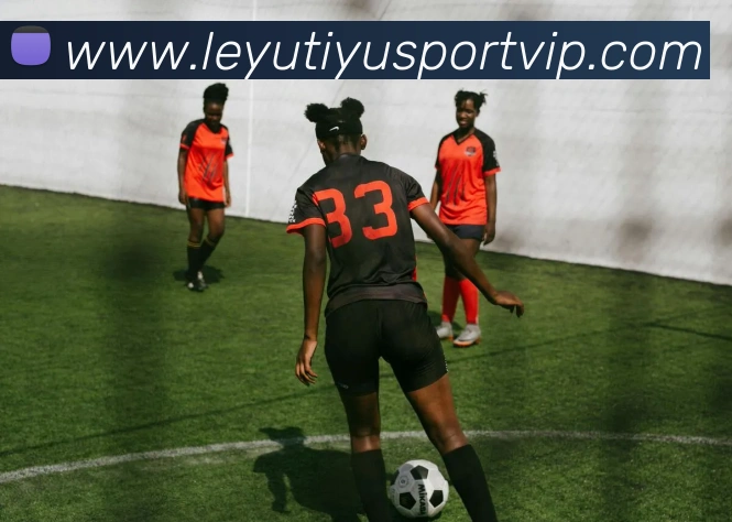 数据防护可视化